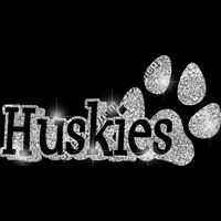 GLT17 SILVER GLITTER Thumbnail